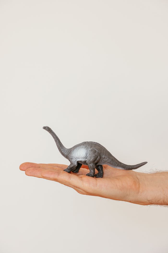 Gray dinosaur toy held in an adult's hand on a white background.